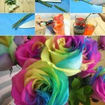 Rainbow-Roses-DIY-2