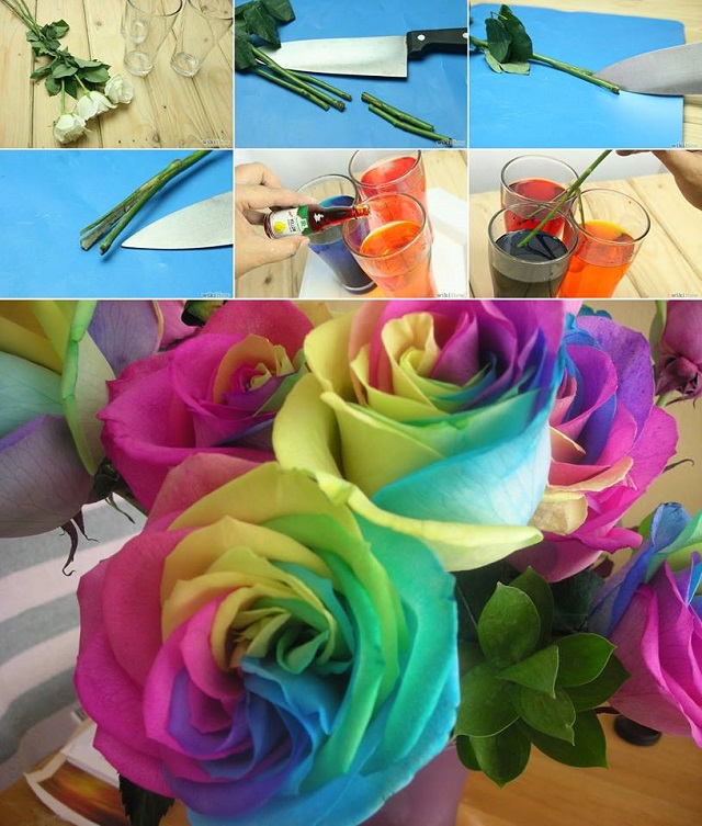 DIY Make Rainbow Roses