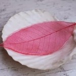 diy-colorful-skeleton-leaves-10