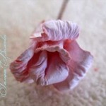 diy-curly-paper-rosettes-18