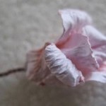 diy-curly-paper-rosettes-19