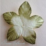 diy-curly-paper-rosettes-26