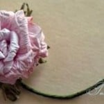 diy-curly-paper-rosettes-31