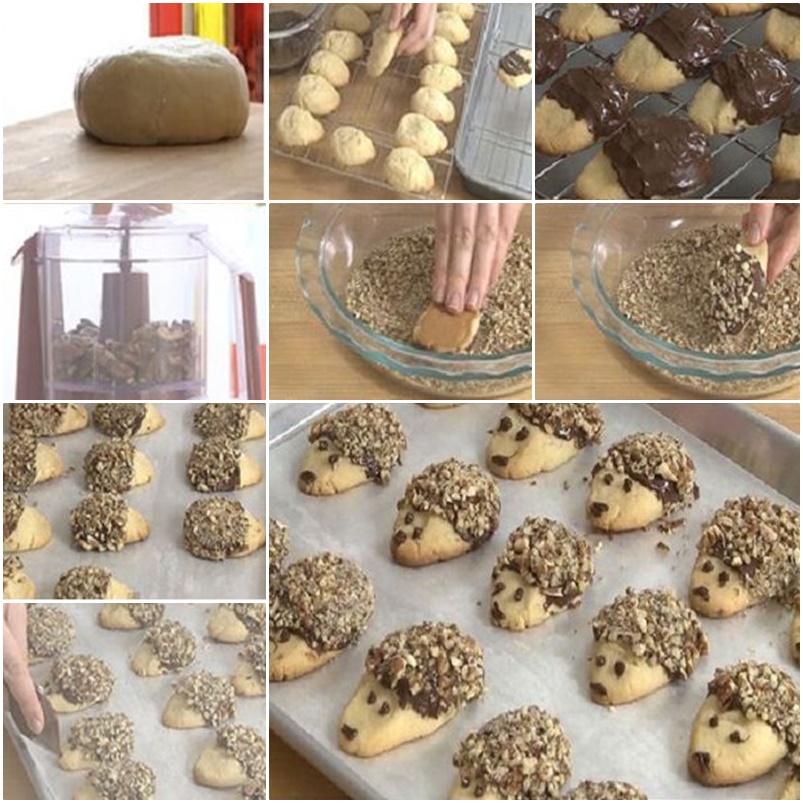 DIY Cute Hedgehog Biscuits