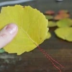 diy-roses-from-autumn-leaves-03