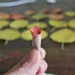 diy-roses-from-autumn-leaves-05