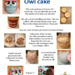 how to make an owl cake