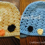 Animal Hat Crochet Patterns-bird1