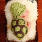 Crochet Baby Turtle