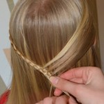 DIY Stunning S-Braid Hairstyle -4