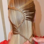 DIY Stunning S-Braid Hairstyle -8