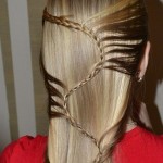 DIY Stunning S-Braid Hairstyle -9