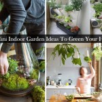 Mini-Indoor-Gardening-Featured