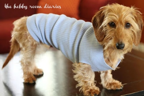 Easy (little) Dog Sweater