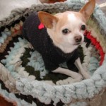 easy-and-cuddly-diy-ideas-for-recycling-old-Sweater-pet bed