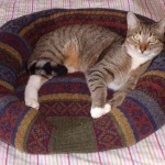 easy-and-cuddly-diy-ideas-for-recycling-old-sweaters-pet bed