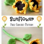 Sunflower Free Crochet Pattern