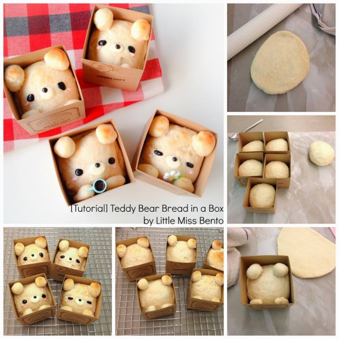 what bread is a teddy bear dog