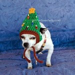 Christmas Tree Crochet Dog Hat.