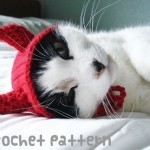 Crochet-Cat-Hat-7