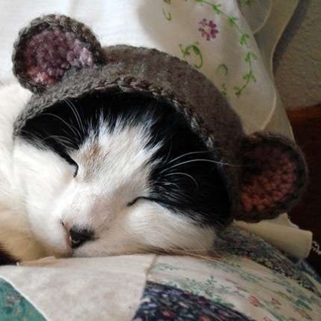 DIY Pet Hat with Pattern