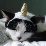 Crochet-Cat-Hat-Pattern-3