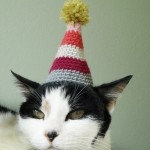 Crochet-Cat-Hat-Pattern-6