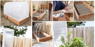 DIY Removable Covered Greenhouse to Protect Your Plants