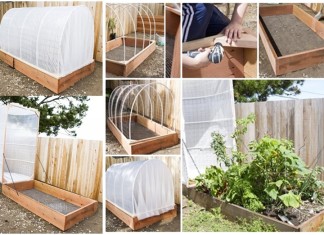 DIY Removable Covered Greenhouse to Protect Your Plants