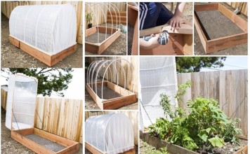 DIY Removable Covered Greenhouse to Protect Your Plants