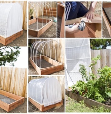 DIY Removable Covered Greenhouse to Protect Your Plants