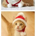 Santa Holiday Cat Hat Crochet Pattern