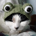crochet pattern  frog pet hat