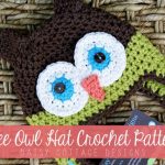 Crochet Owl Kids Hat with Free Pattern