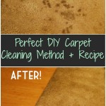 DIY Carpet Cleaning Method + Recipe