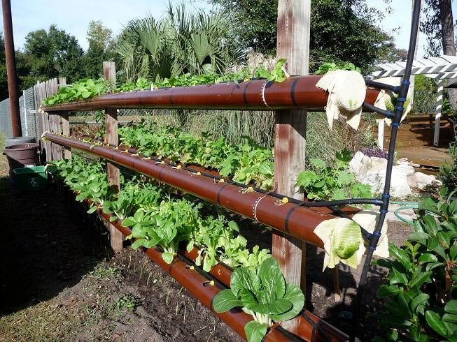 DIY Hydroponic Garden Tower Using PVC Pipes-1