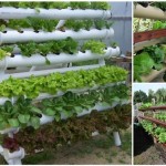 DIY Hydroponic Garden Tower Using PVC Pipes