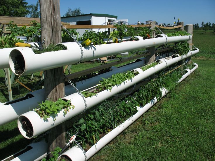 DIY Hydroponic Garden Tower Using PVC Pipes-2