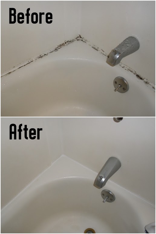 How-to-Get-Mold-Out-of-the-Shower