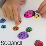 Adorable Seashell Craft Ideas-seashell-ladybugs