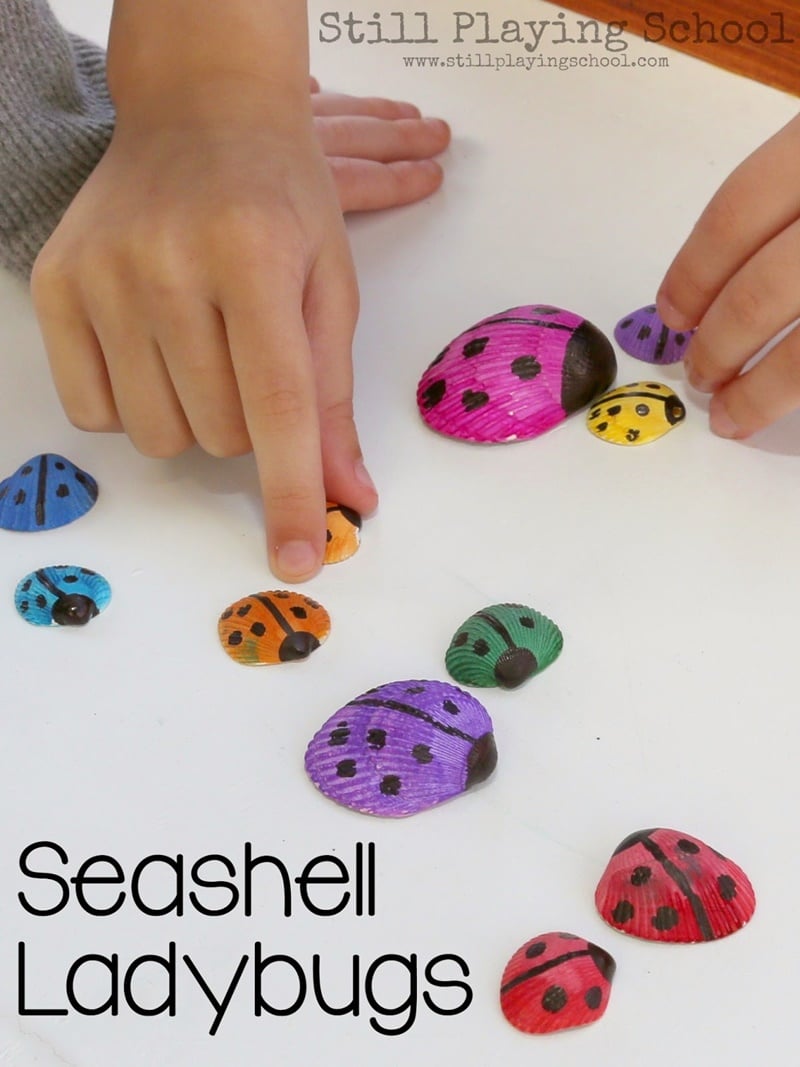 Adorable Seashell Craft Ideas-seashell-ladybugs