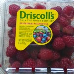 raspberry cheese cake-006
