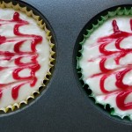 raspberry cheese cake-018
