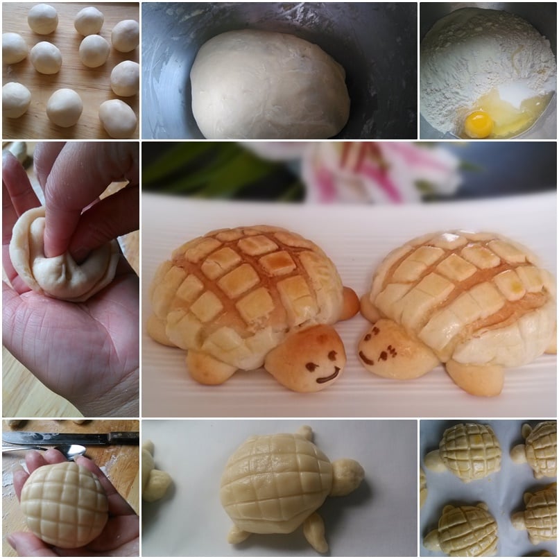 DIY Adorable Turtle Shaped Crispy Bread
