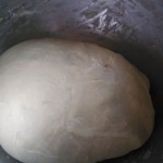 turtle crispy bread005