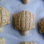 turtle crispy bread016