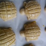 turtle crispy bread017