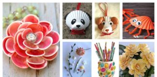 16 Adorable Seashell Craft Ideas You Should Do with Your Kids