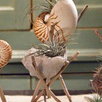 Adorable Seashell Craft Ideas planter
