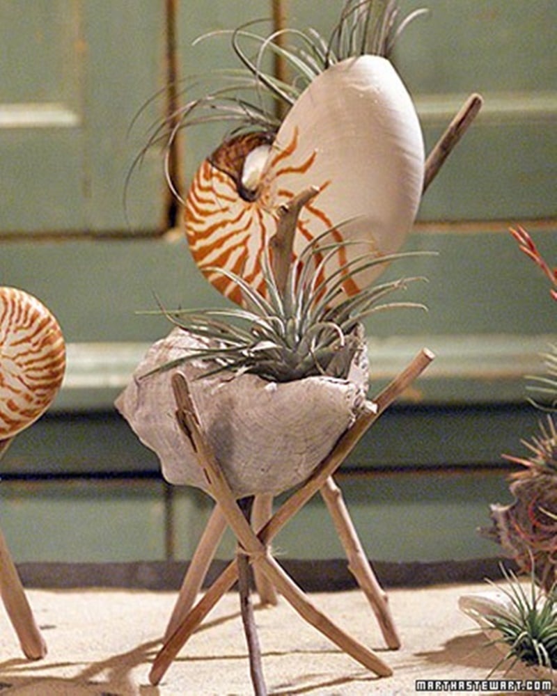 Adorable Seashell Craft Ideas planter